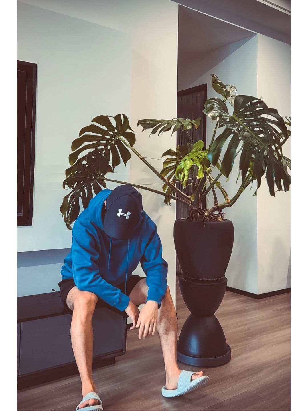 A new home must have big green plants❗