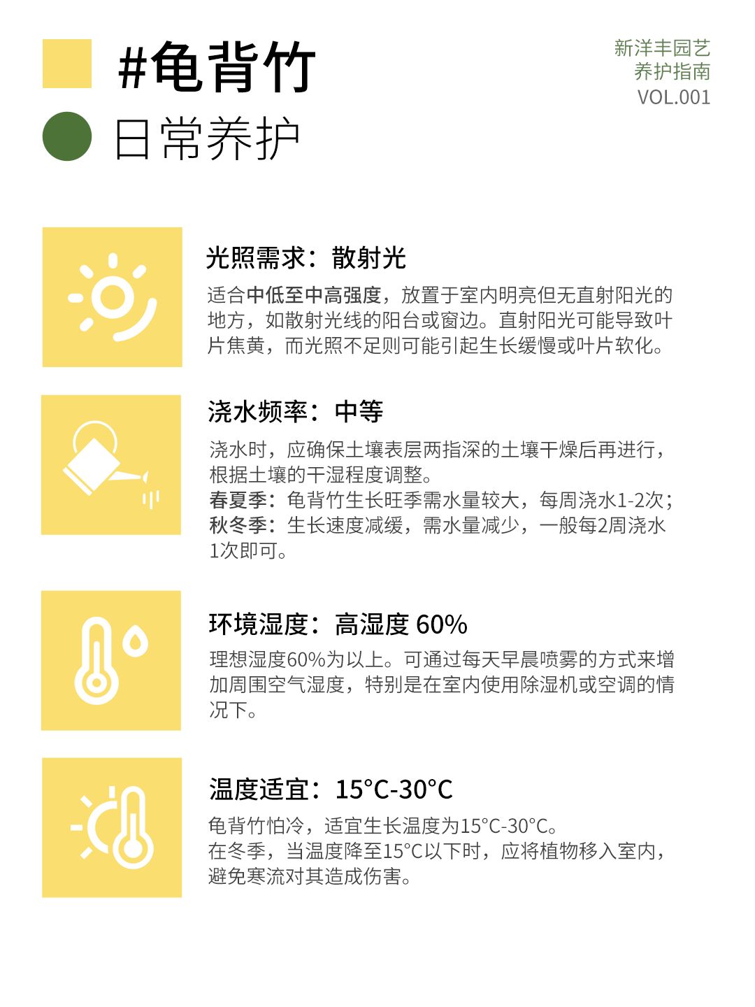 A comprehensive guide to Monstera care!