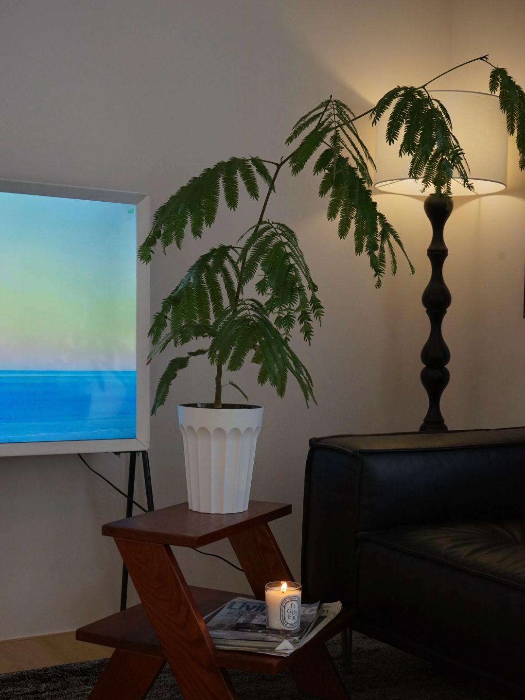 A Monstera supports a living room (with maintenance tips✅)